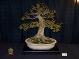 Annual Show 2011 - 8 2011
